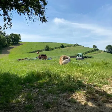 Apartment Casale Castro - Serrina *